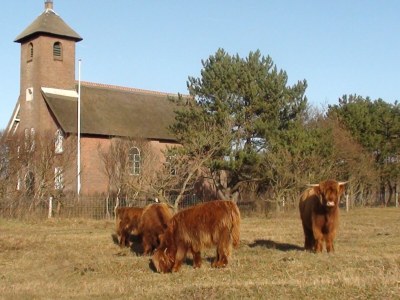 Holiday apartment Sonneduyn 2 - Outdoor photo 12