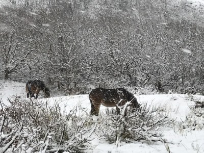 Holiday apartment Sonneduyn 2 - Outdoor photo 13