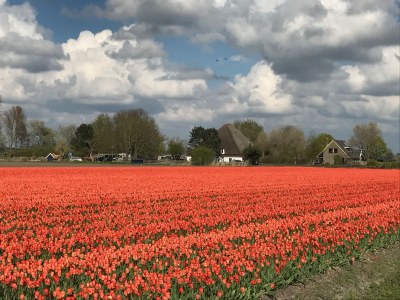 Holiday apartment Sonneduyn 2 - Outdoor photo 14