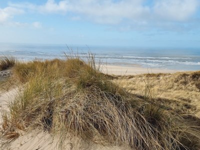 Holiday apartment Sonneduyn 2 - Environment photo 26