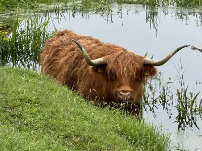 Holiday apartment Sonneduyn 2 - Environment photo 28