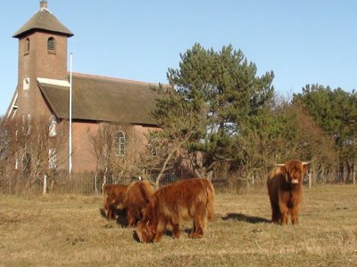 Holiday apartment Sonneduyn 2 - Environment photo 29