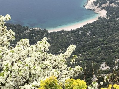 Holiday apartment Losinj - Environment photo 37