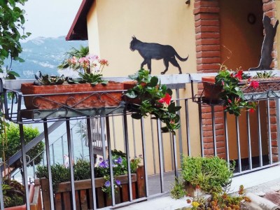 Holiday apartment Direkt am See - Features photo 20