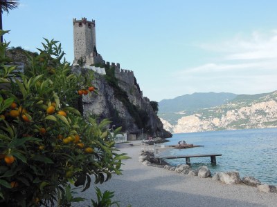 Holiday apartment Direkt am See - Environment photo 29