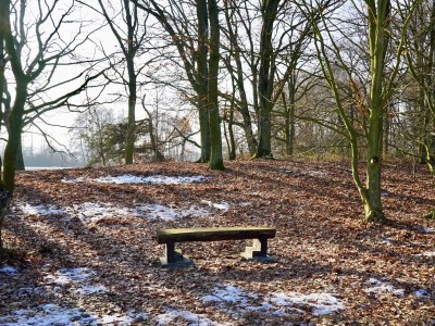 Holiday house Blockhaus-Fleesensee - Environment photo 15