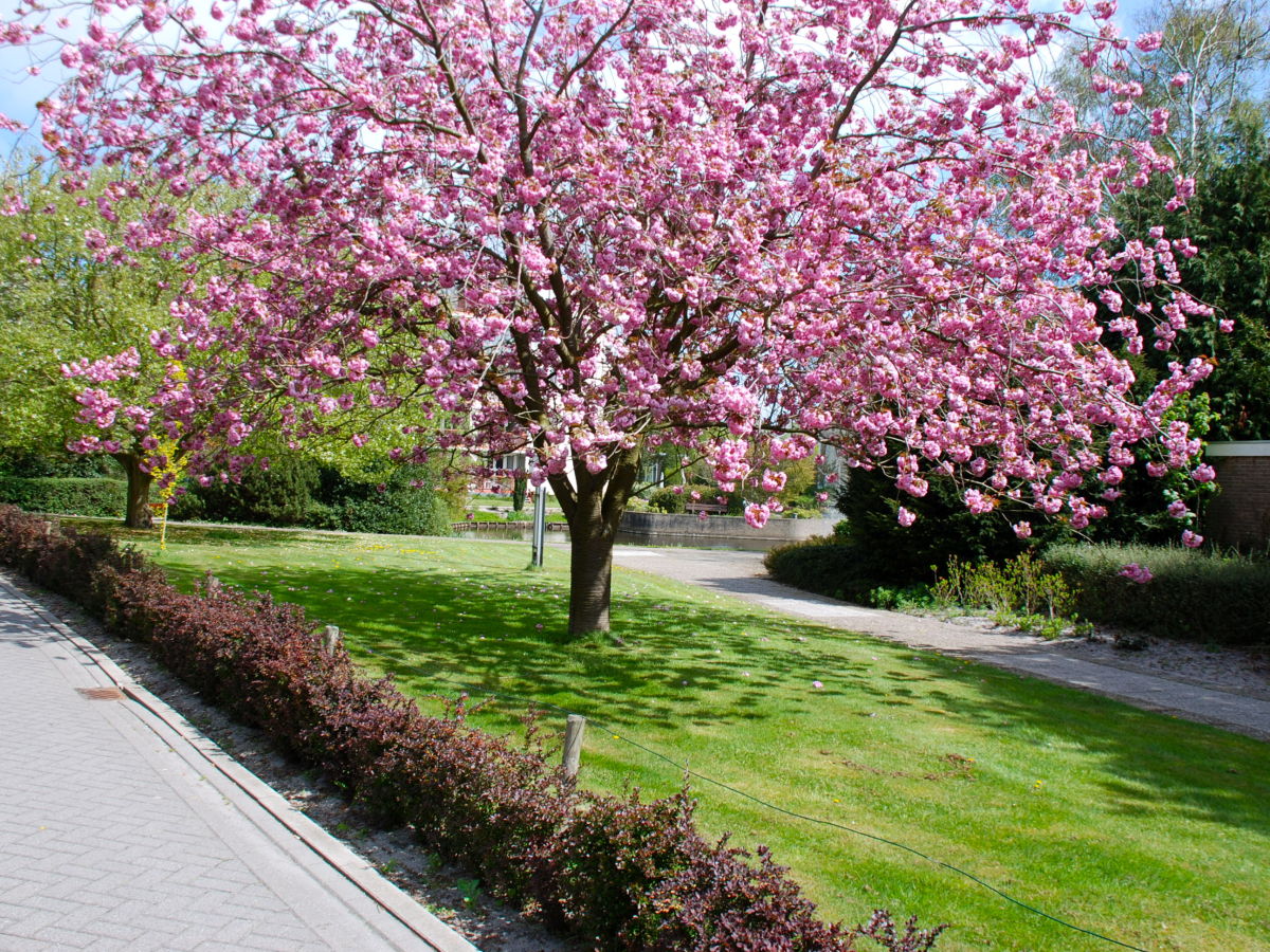 Holiday apartment Hortensia - Outdoor photo 2