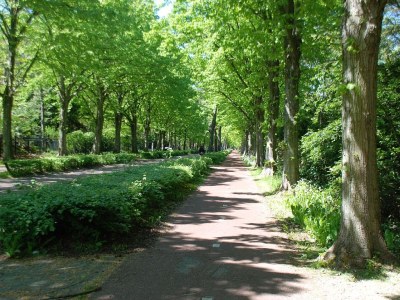 Holiday apartment Hortensia - Environment photo 20