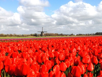 Holiday apartment Hortensia - Environment photo 25