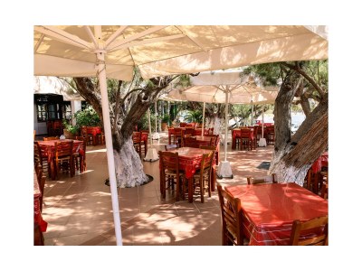 Holiday house Villa Exklusiv 1 - Video available | Pool & Sea View - Plakias - Environment photo 25