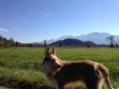 Holiday house Grafenaschau - Environment photo 19