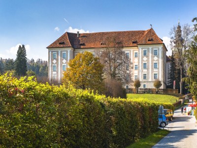Holiday apartment in Landhaus Piber - Outdoor photo 8