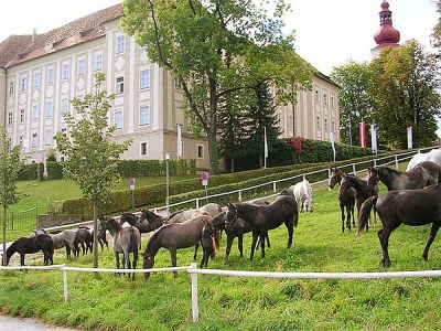 Holiday apartment in Landhaus Piber - Environment photo 17