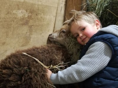 Holiday apartment Hirschbichler 2 - Environment photo 21