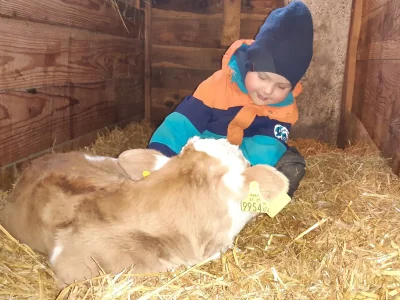 Holiday apartment Hirschbichler 2 - Environment photo 22