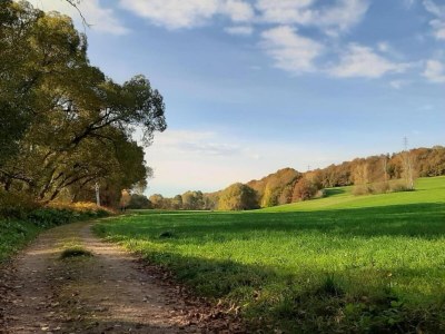 Apartment Ruhiger Komfort in Oelsnitz - Environment photo 14