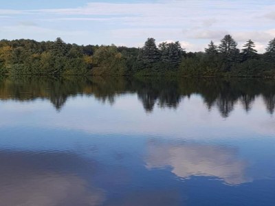 Apartment Ruhiger Komfort in Oelsnitz - Environment photo 15