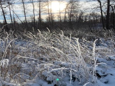 Apartment Ruhiger Komfort in Oelsnitz - Environment photo 16