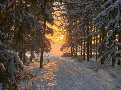 Apartment Ruhiger Komfort in Oelsnitz - Environment photo 22