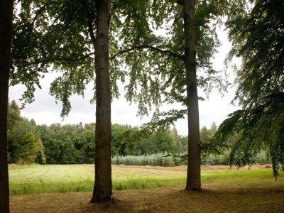 Apartment Ruhiger Komfort in Oelsnitz - Environment photo 23