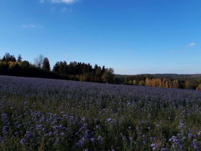 Apartment Ruhiger Komfort in Oelsnitz - Environment photo 25