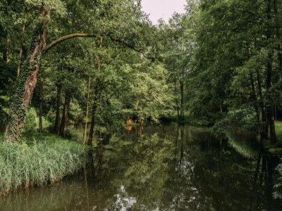 Apartment Ruhiger Komfort in Oelsnitz - Environment photo 27