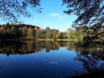Apartment Ruhiger Komfort in Oelsnitz - Environment photo 28