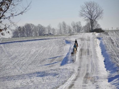 Apartment Ruhiger Komfort in Oelsnitz - Environment photo 29