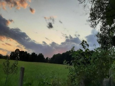 Apartment Ruhiger Komfort in Oelsnitz - Environment photo 33