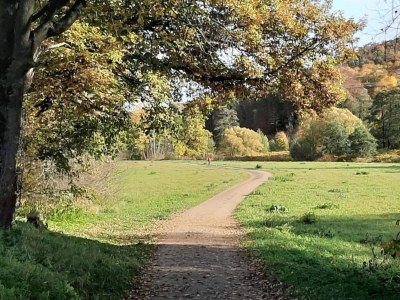 Apartment Ruhiger Komfort in Oelsnitz - Environment photo 35
