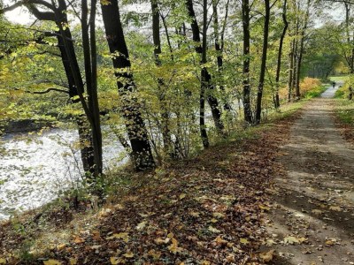 Apartment Ruhiger Komfort in Oelsnitz - Environment photo 36