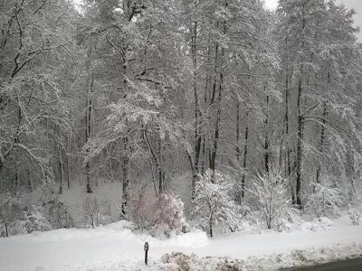 Apartment Ruhiger Komfort in Oelsnitz - Environment photo 37