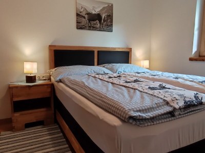 Holiday apartment In Chalet Achenkirch - Features photo 22