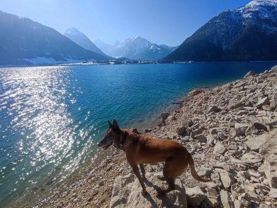 Holiday apartment In Chalet Achenkirch - Environment photo 23