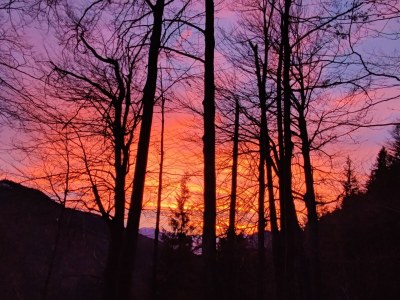 Holiday apartment In Chalet Achenkirch - Environment photo 27