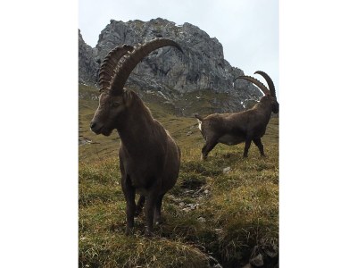 Holiday apartment In Chalet Achenkirch - Environment photo 30