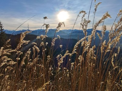 Holiday apartment In Chalet Achenkirch - Environment photo 31