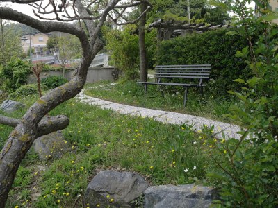 Holiday apartment Casa Banana in Castino - Holiday apartment