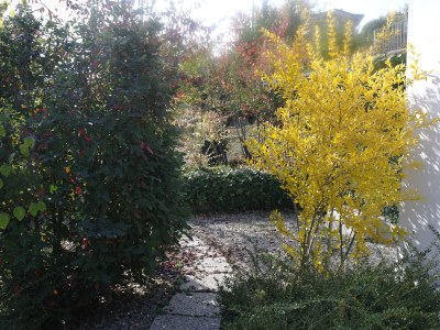 Holiday apartment Casa Banana - Outdoor photo 4