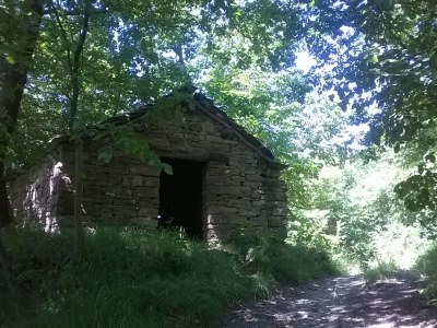 Holiday apartment Casa Banana - Environment photo 18