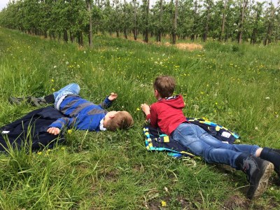 Holiday apartment Deluxe Old Country - Environment photo 20