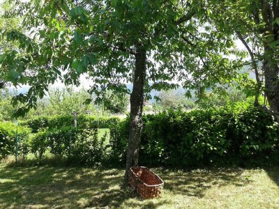 Holiday house Ruhiger Aufenthalt mit Garten - Outdoor photo 7