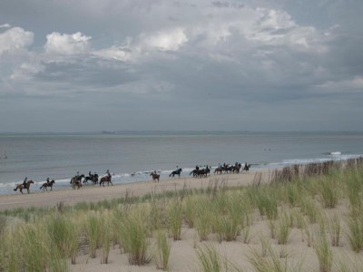 Farmhouse Villa in Zuidzande nahe Strand für 24 Von Belvilla - Environment photo 39