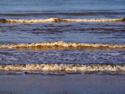 Farmhouse Villa in Zuidzande nahe Strand für 24 Von Belvilla - Environment photo 40