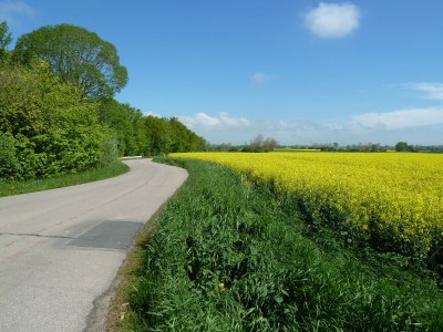 Holiday apartment “Kleine Freiheit Fehmarn” - Environment photo 21