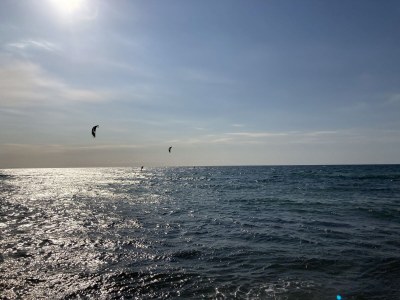 Holiday apartment “Kleine Freiheit Fehmarn” - Environment photo 25