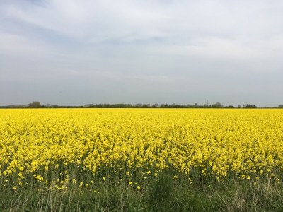 Holiday house Kleine Freiheit Fehmarn - Environment photo 31