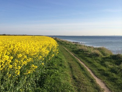 Apartment “Kleine Freiheit Fehmarn” - Environment photo 17