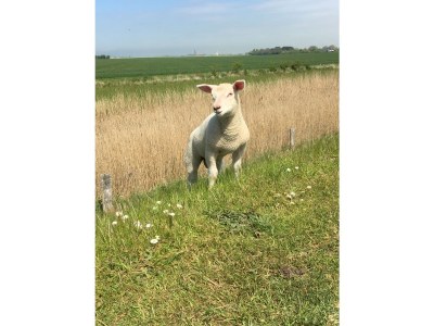 Apartment “Kleine Freiheit Fehmarn” - Environment photo 20