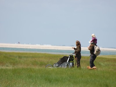 Holiday apartment Vennewei / Lelie - Environment photo 13